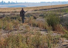 Un cazador durante el inicio de la temporada de media veda en Castilla y León.