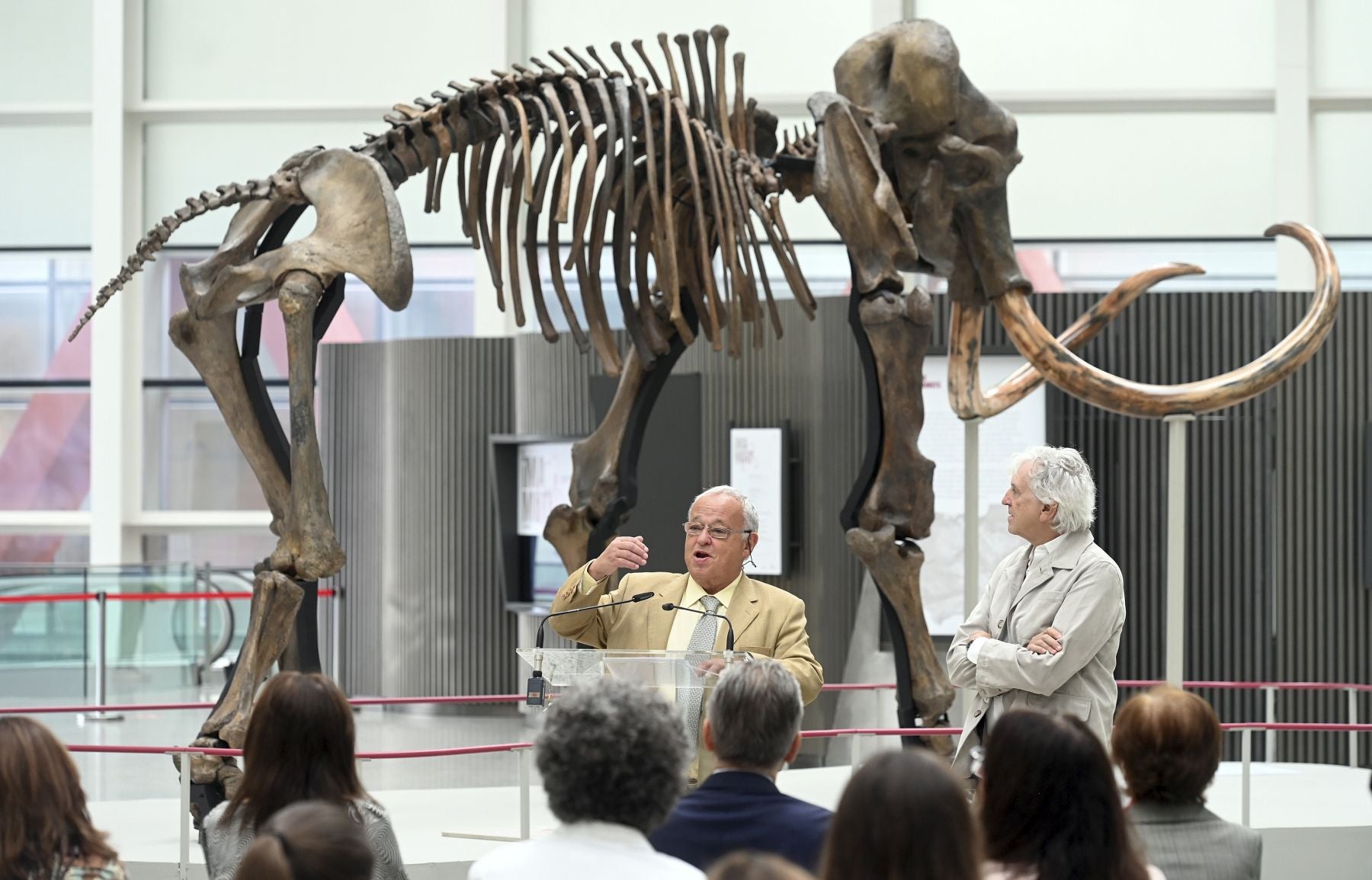 Un mamut en Burgos