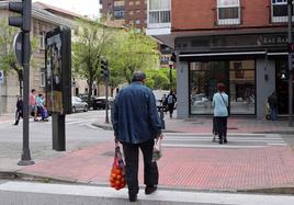 Andando Burgos apuesta por la movilidad peatonal.