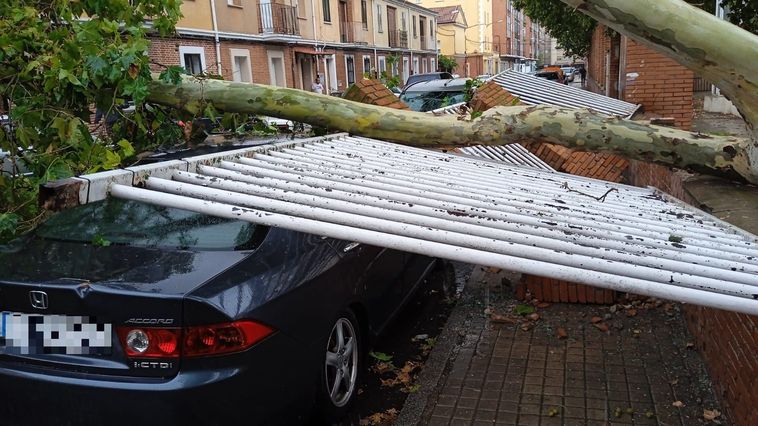 Un árbol caído ha derribado una valla y ha abollado un coche.