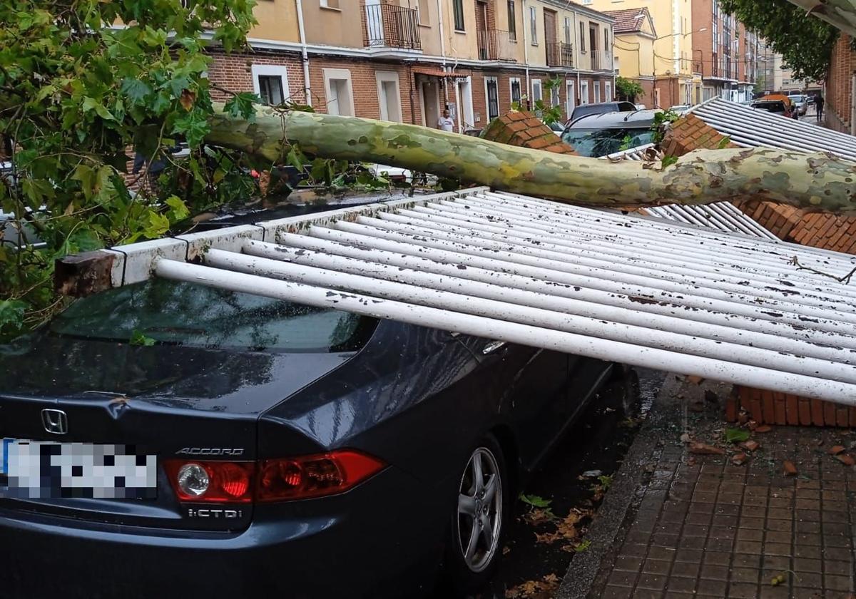 Una tormenta de agua y viento causa estragos en Aranda