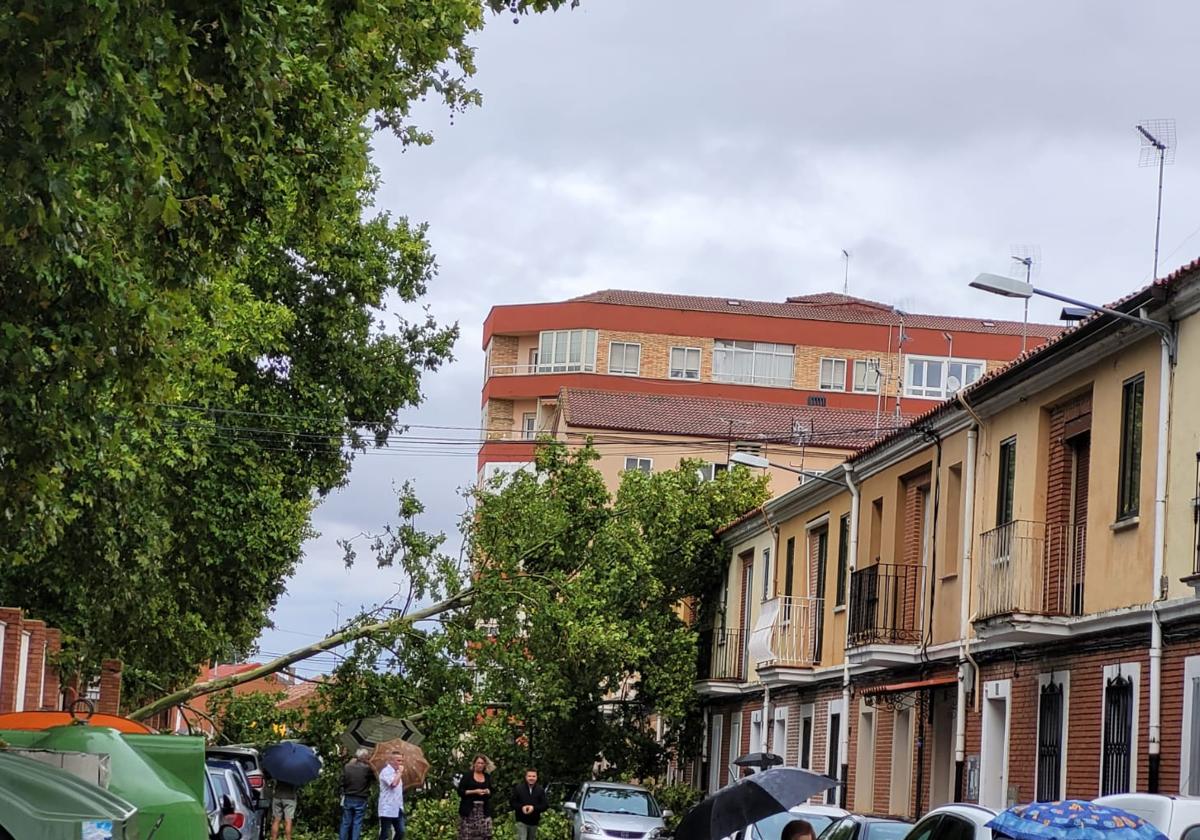 Una tromba de diez minutos causa desperfectos en Aranda de Duero