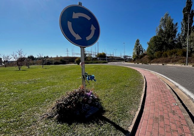 Flores en la glorieta de avda. Valentín Niño.