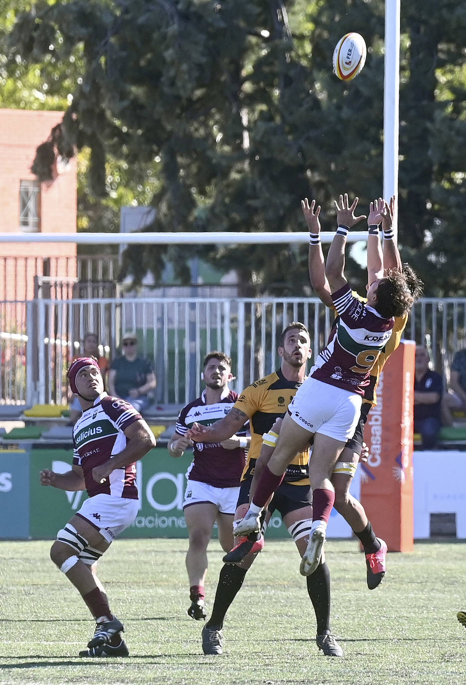 El Recoletas Burgos Caja Rural se impone en casa al Alcobendas Rugby