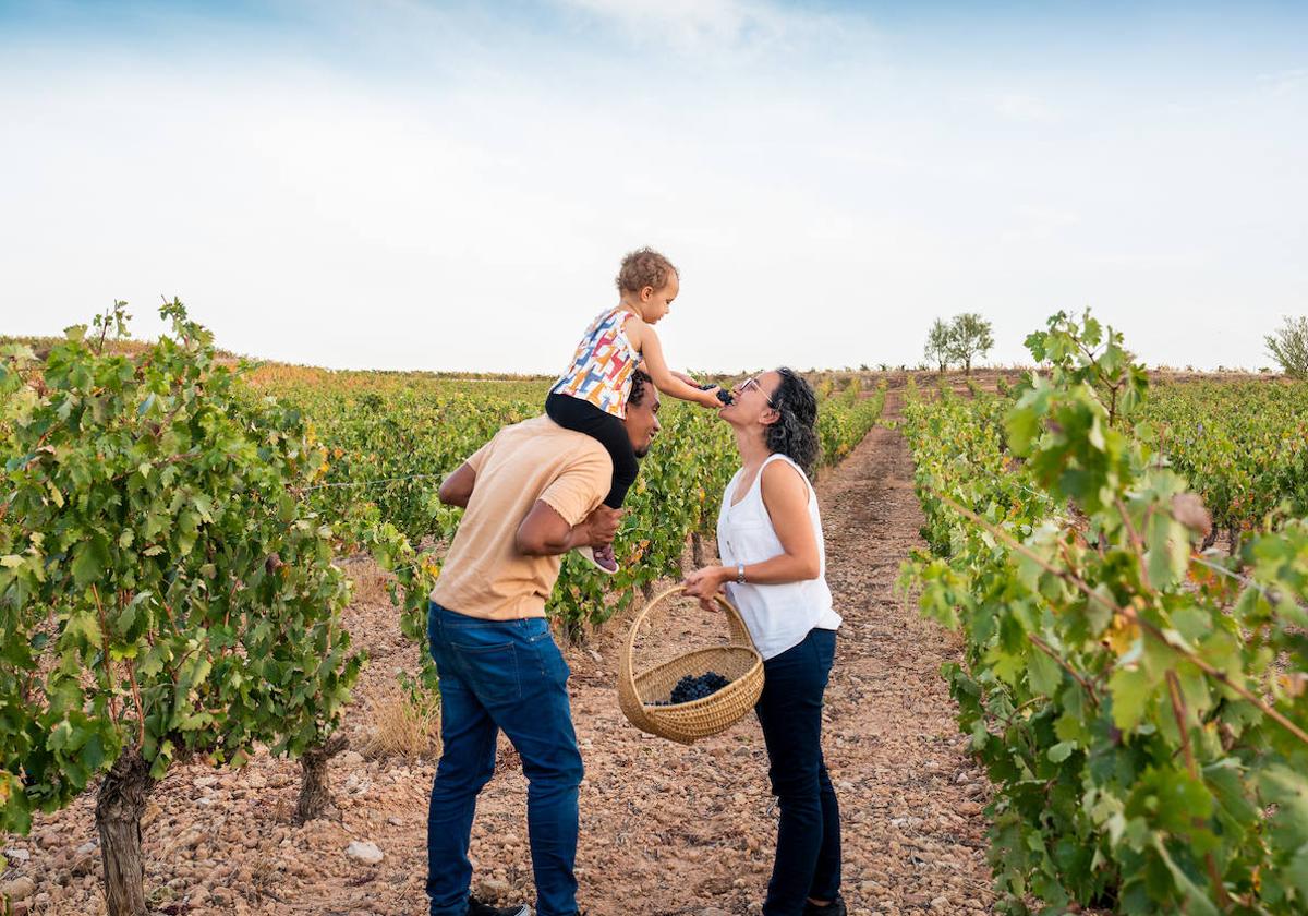 Burgos es una provincia donde gozar de la cultura del vino y no sólo del vino.