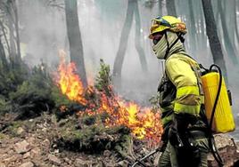 Imagen de archivo de un profesional del operativo anti incendios