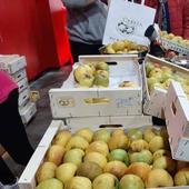 Cantabrana acoge un año más su feria de la manzana reineta