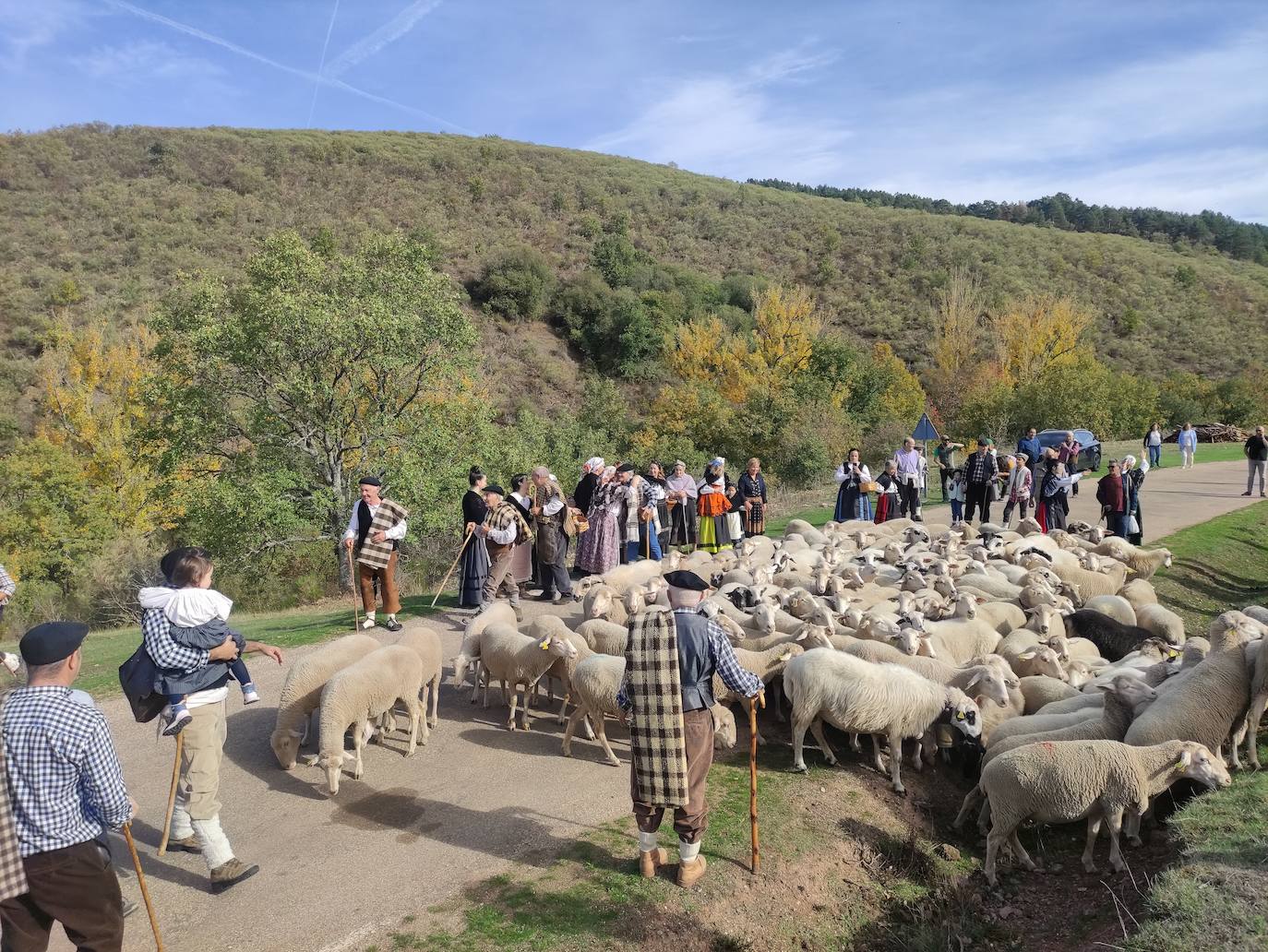 La trashumancia se apodera de Tolbaños de Arriba