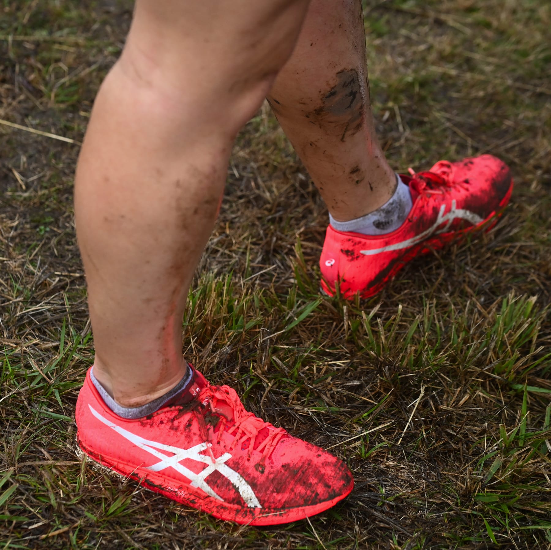 Fotos del XIX Cross de Atapuerca