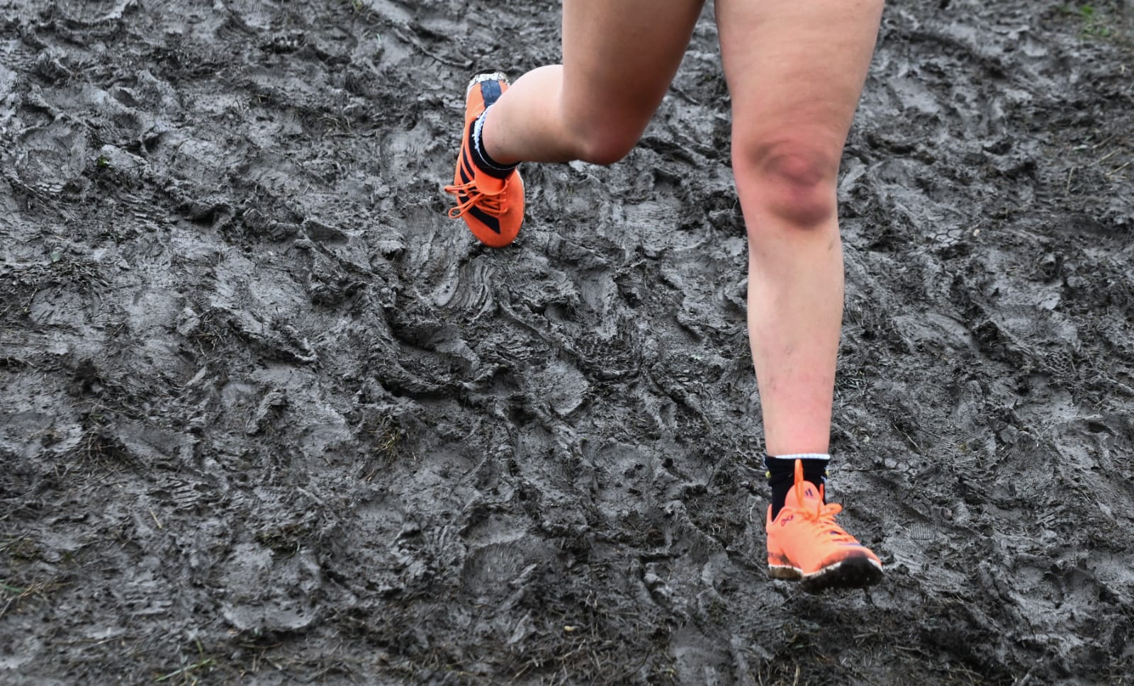 Fotos del XIX Cross de Atapuerca
