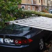 El viento alcanzará los 100 kilómetros por hora en Burgos este jueves