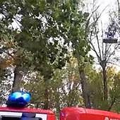 Los Bomberos intervienen en una docena de avisos en Burgos a causa del viento