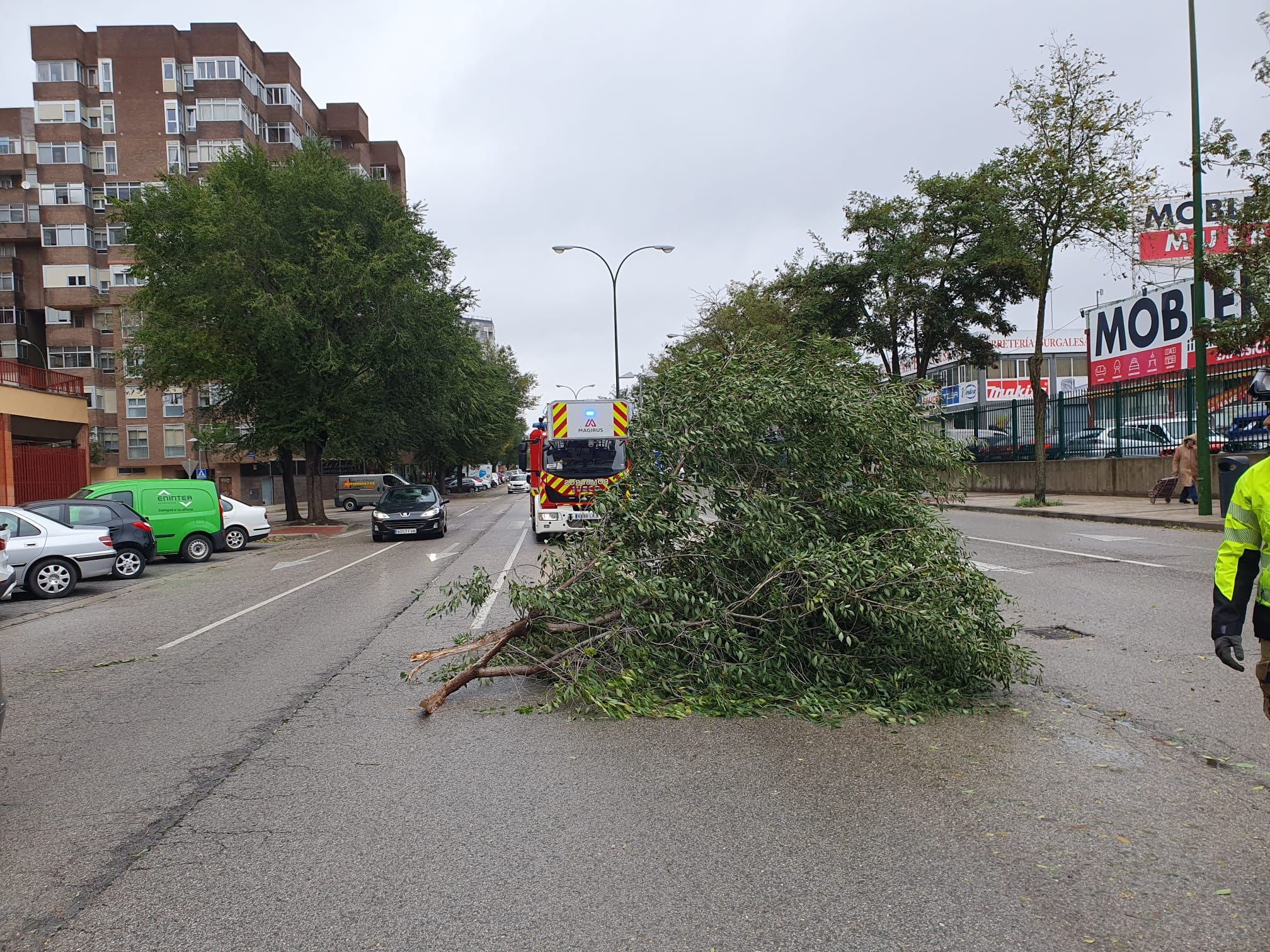 El temporal de viento azota Burgos