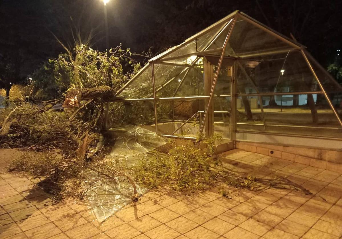 Operarios del Ayuntamiento, Bomberos y Protección Civil estuvieron trabajando hasta la media noche en Burgos.