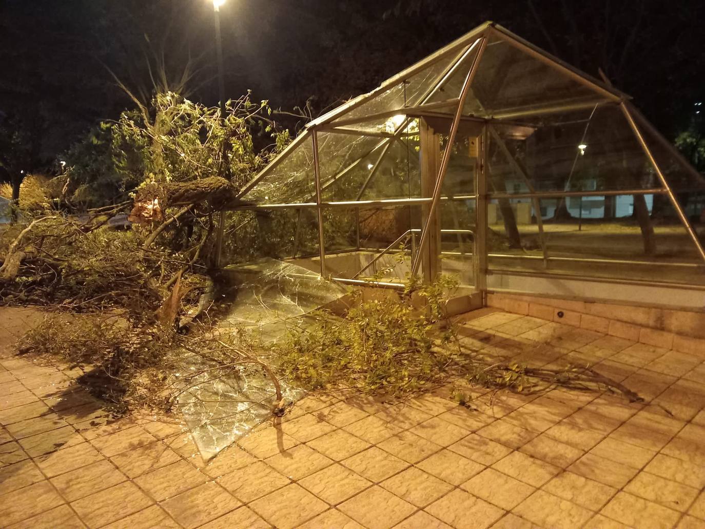 El viento causa decenas de desperfectos en Burgos