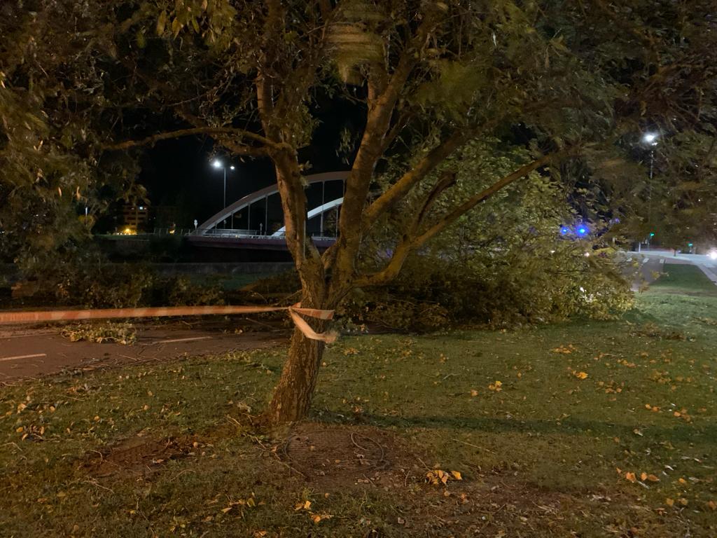 El viento causa decenas de desperfectos en Burgos