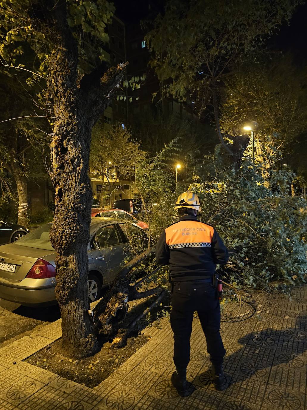 El viento causa decenas de desperfectos en Burgos