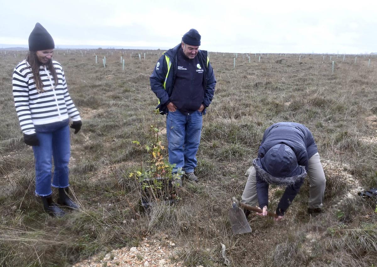 Imagen secundaria 1 - Land Life, una década al frente de la reforestación inteligente