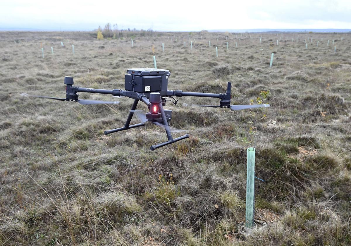 Imagen principal - Land Life, una década al frente de la reforestación inteligente