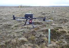 Un dron analizando el terreno para la reforestación.