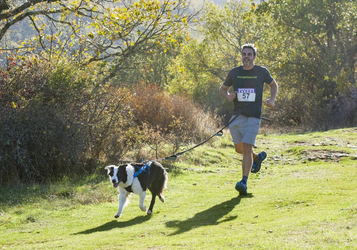 Un deportista participa junto a su perro en una de las carreras organizadas por Perrunners Burgos.