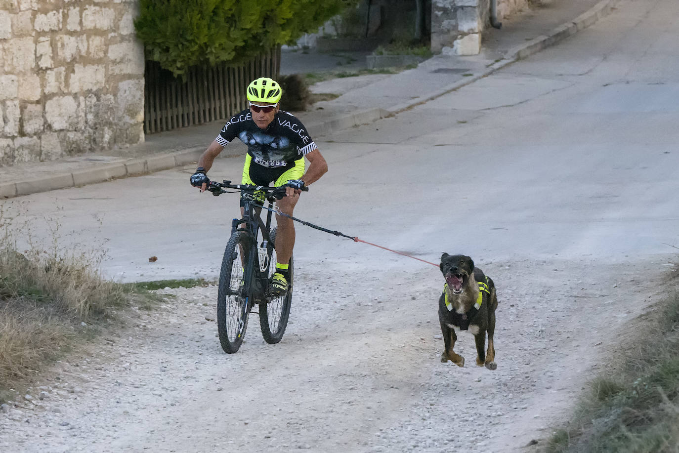 Deporte, naturaleza y mascotas para todos en Burgos