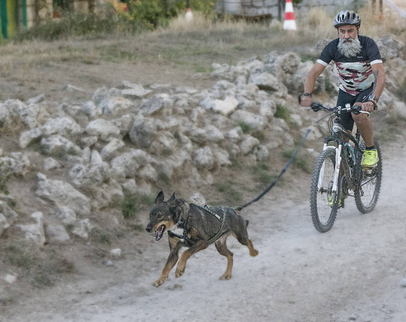 Deporte, naturaleza y mascotas para todos en Burgos