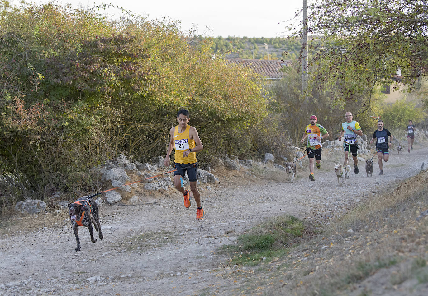 Deporte, naturaleza y mascotas para todos en Burgos