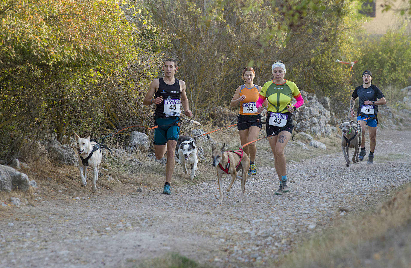 Deporte, naturaleza y mascotas para todos en Burgos