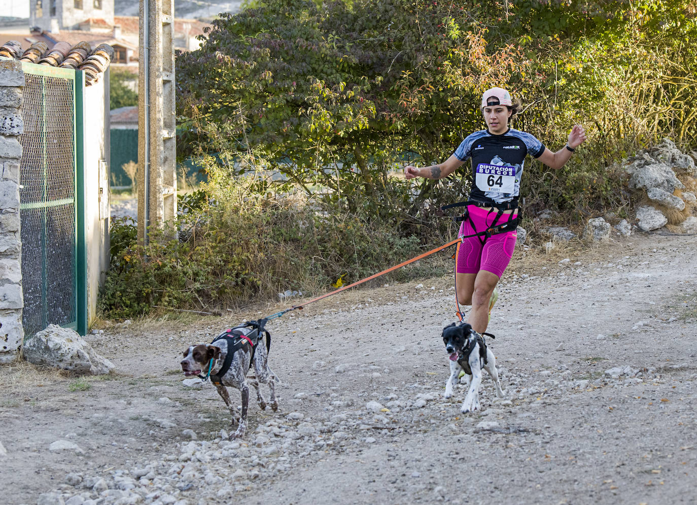 Deporte, naturaleza y mascotas para todos en Burgos