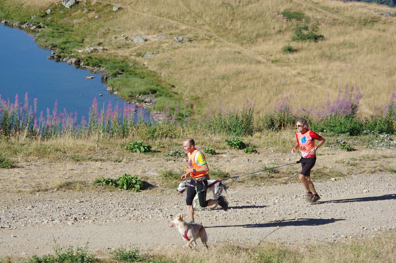 Deporte, naturaleza y mascotas para todos en Burgos