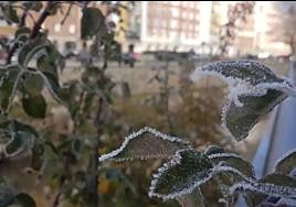 Aemet prevé que las temperaturas desciendan de forma brusca en toda la provincia de Burgos.