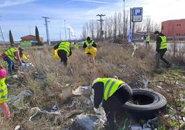 Toda la basura se ha recogido en apenas tres horas.