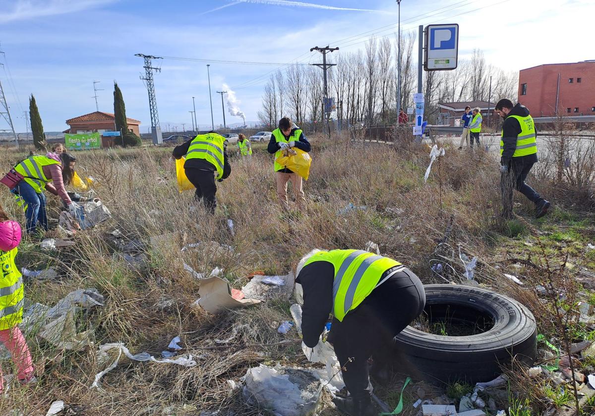 Toda la basura se ha recogido en apenas tres horas.