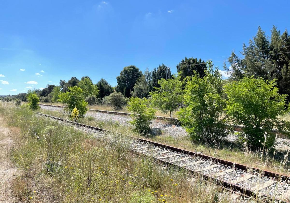 Imagen de la línea férrea directa entre Burgos y Madrid por Aranda de Duero.