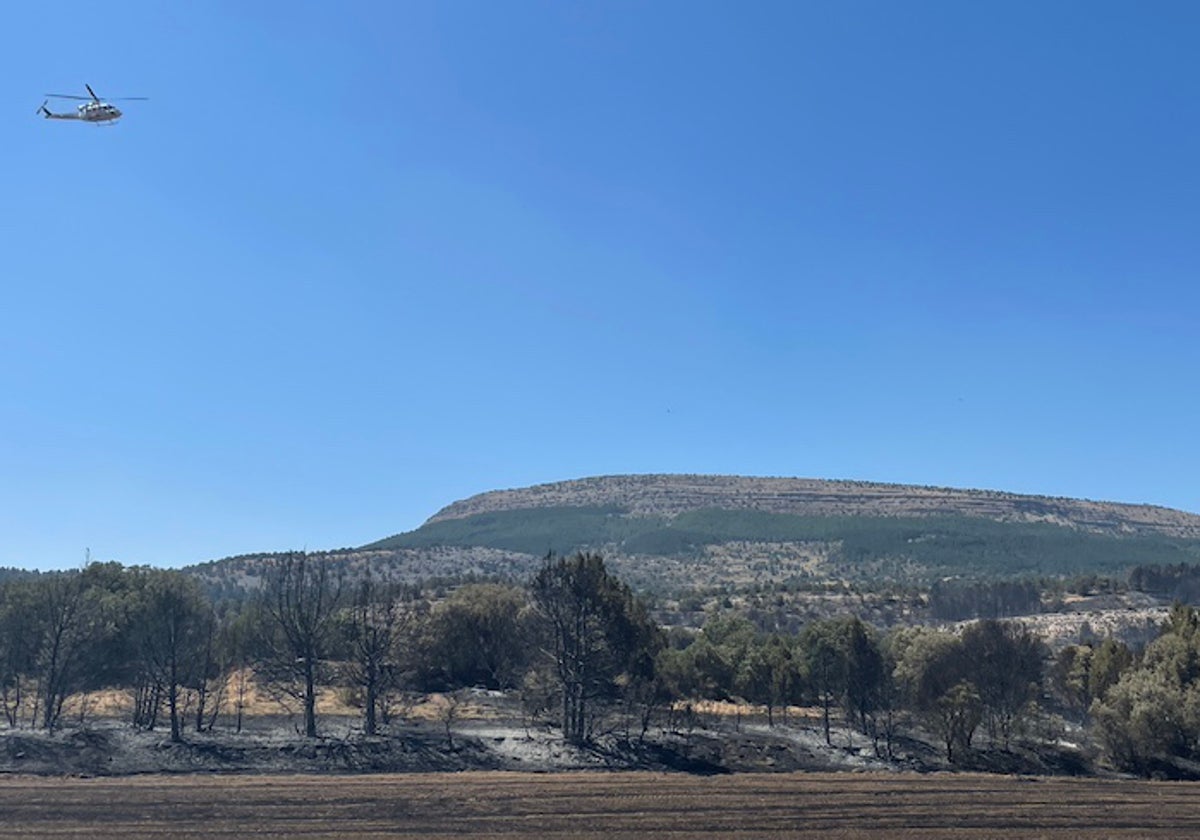 Monte y tierras quemadas por el incendio de Silos y Quintanilla del Coco.