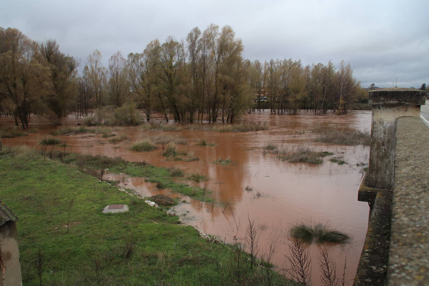 Las lluvias provocan desbordes del Arlanza en Lerma