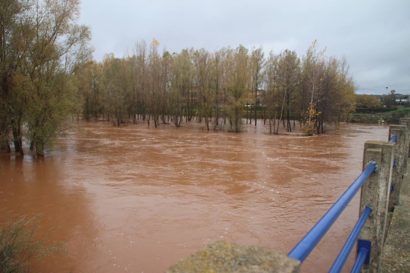 Las lluvias provocan desbordes del Arlanza en Lerma