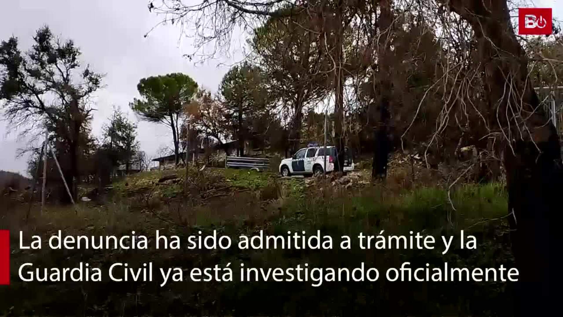 Comienza la investigación en la granja de cerdos denunciada por maltrato animal en Quintanilla del Coco