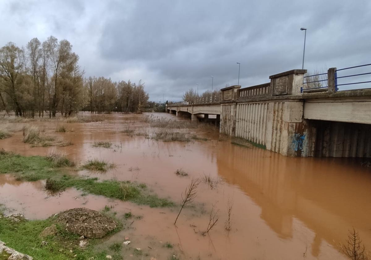 El Arlanza se ha desbordado a su paso por Lerma.