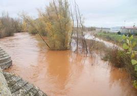 El río Arlanza a su paso por Lerma este viernes 1 de diciembre.