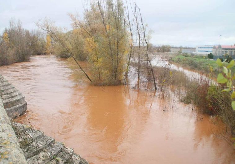 El río Arlanza a su paso por Lerma este viernes 1 de diciembre.