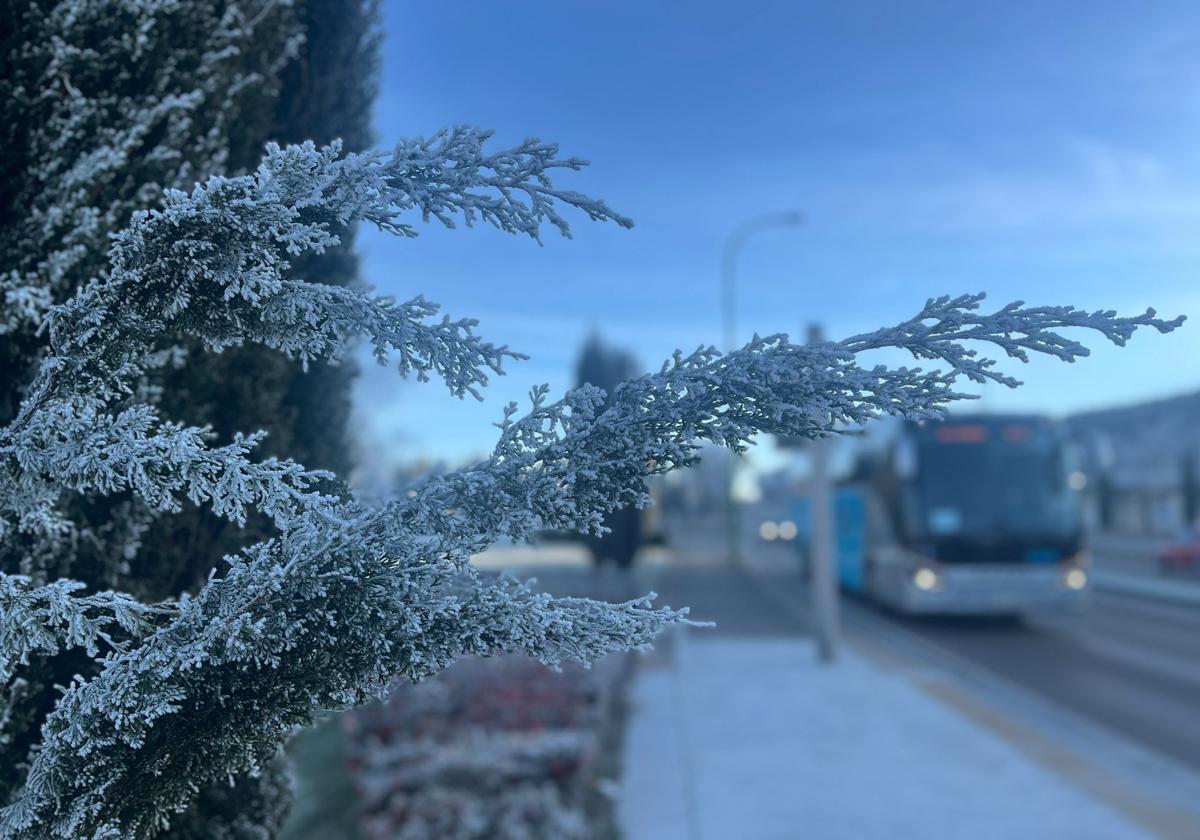 Burgos despierta blanca con una nueva cencellada