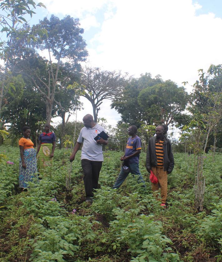 Imagen secundaria 2 - La colaboración burgalesa ayuda a pequeños agricultores ugandeses de Jangokoro