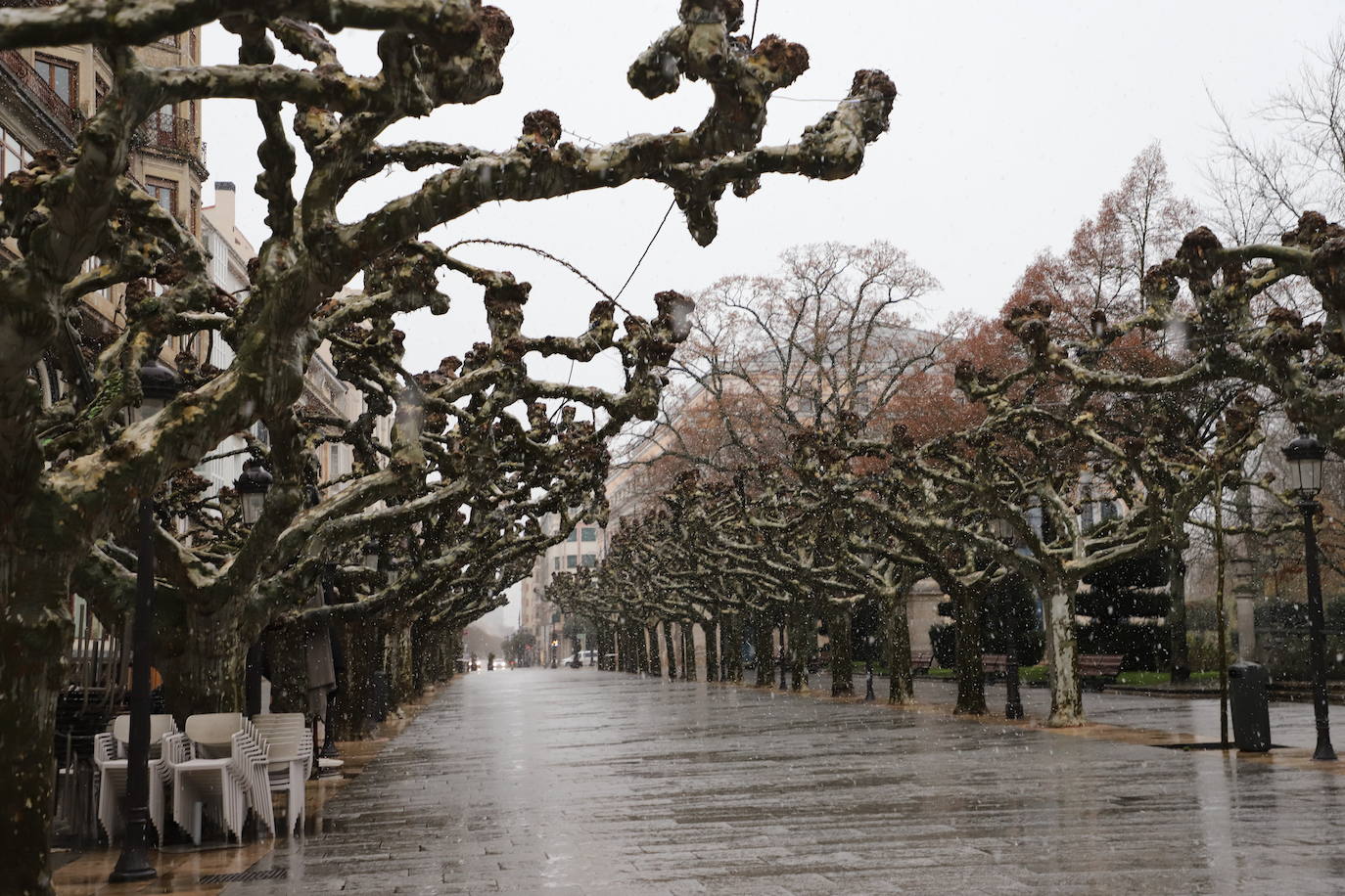 Fotos: Llega la nieve a Burgos capital