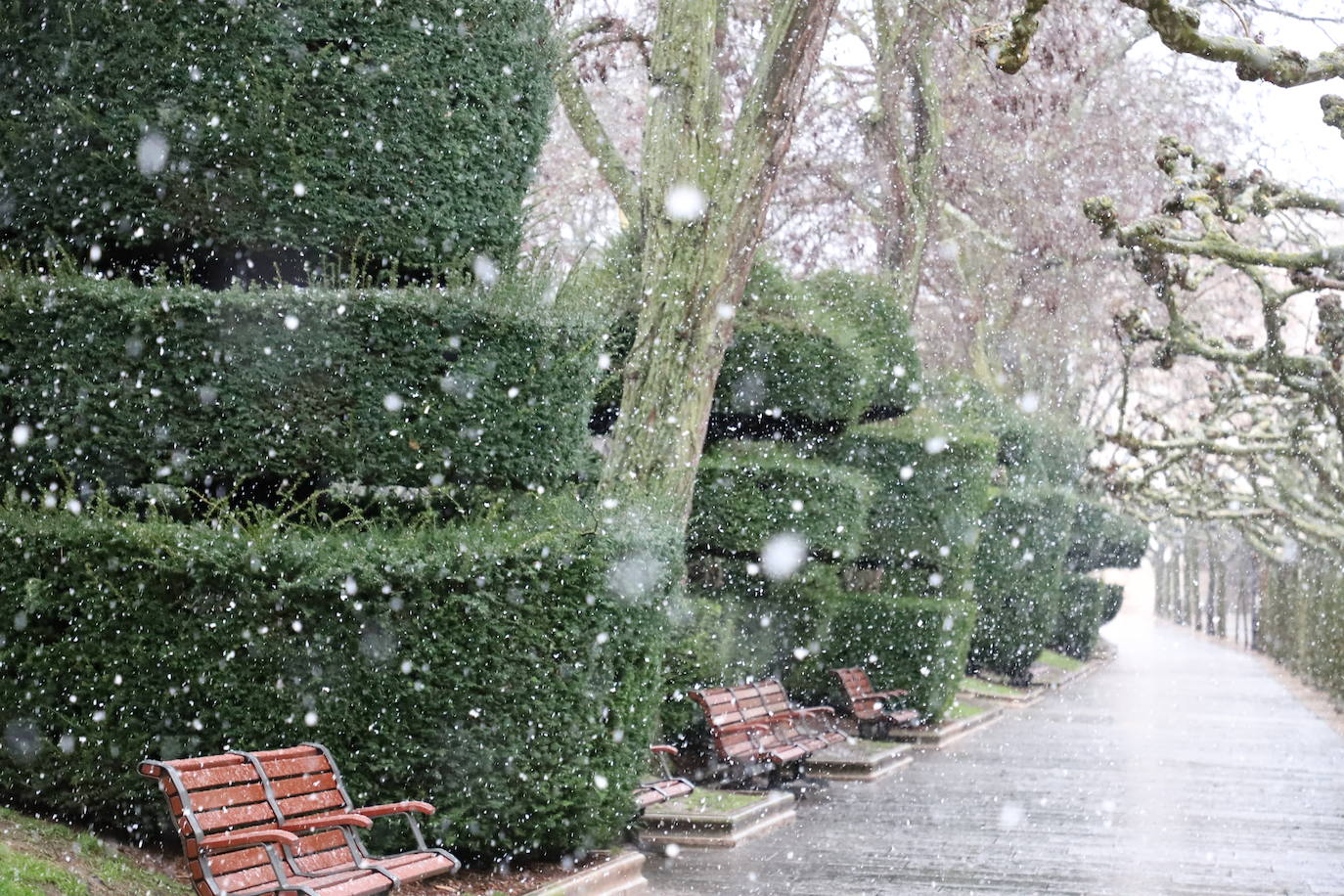 Fotos: Llega la nieve a Burgos capital