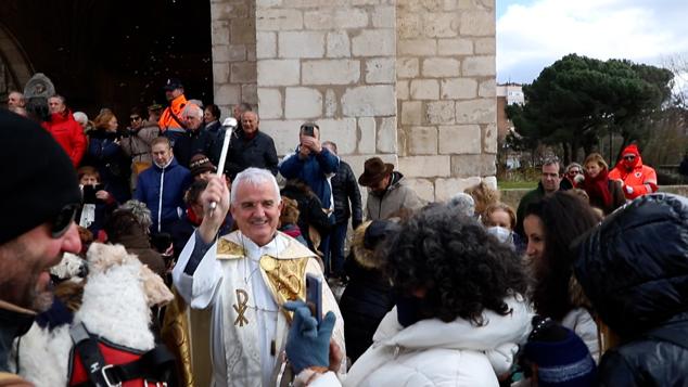 Fotos: Los burgaleses abrigan a sus mascotas para bendecirlas en San Antón