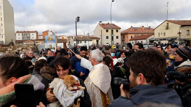 Fotos: Los burgaleses abrigan a sus mascotas para bendecirlas en San Antón