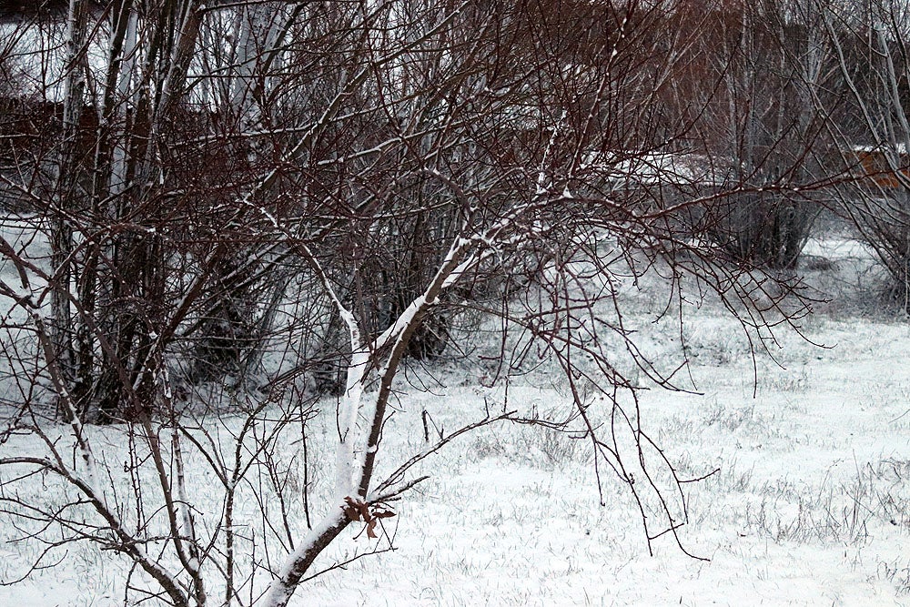 Fotos: La nieve llega a Burgos