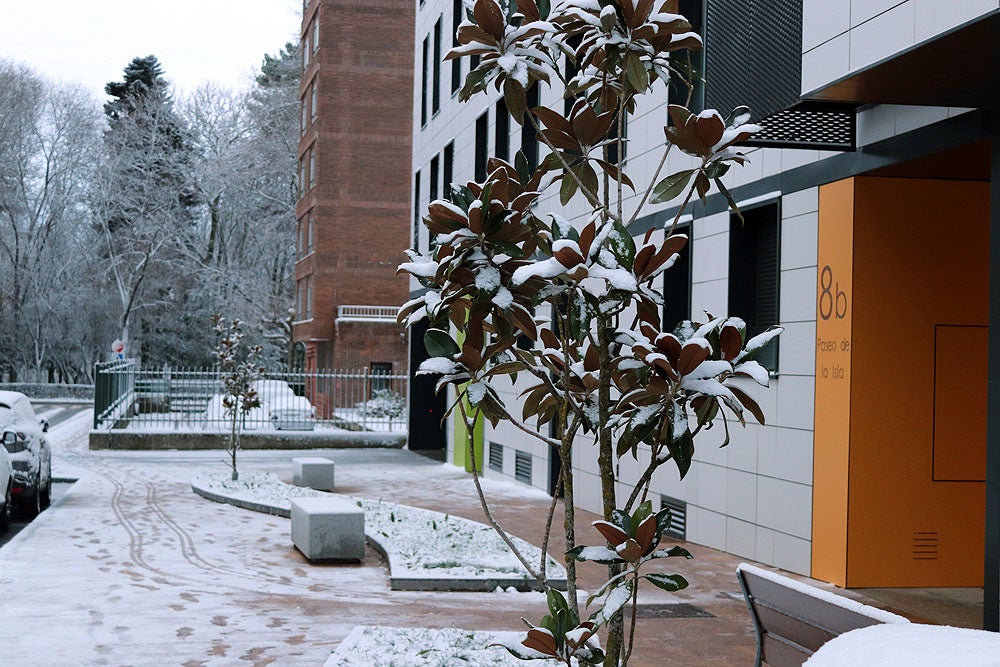 Fotos: La nieve llega a Burgos